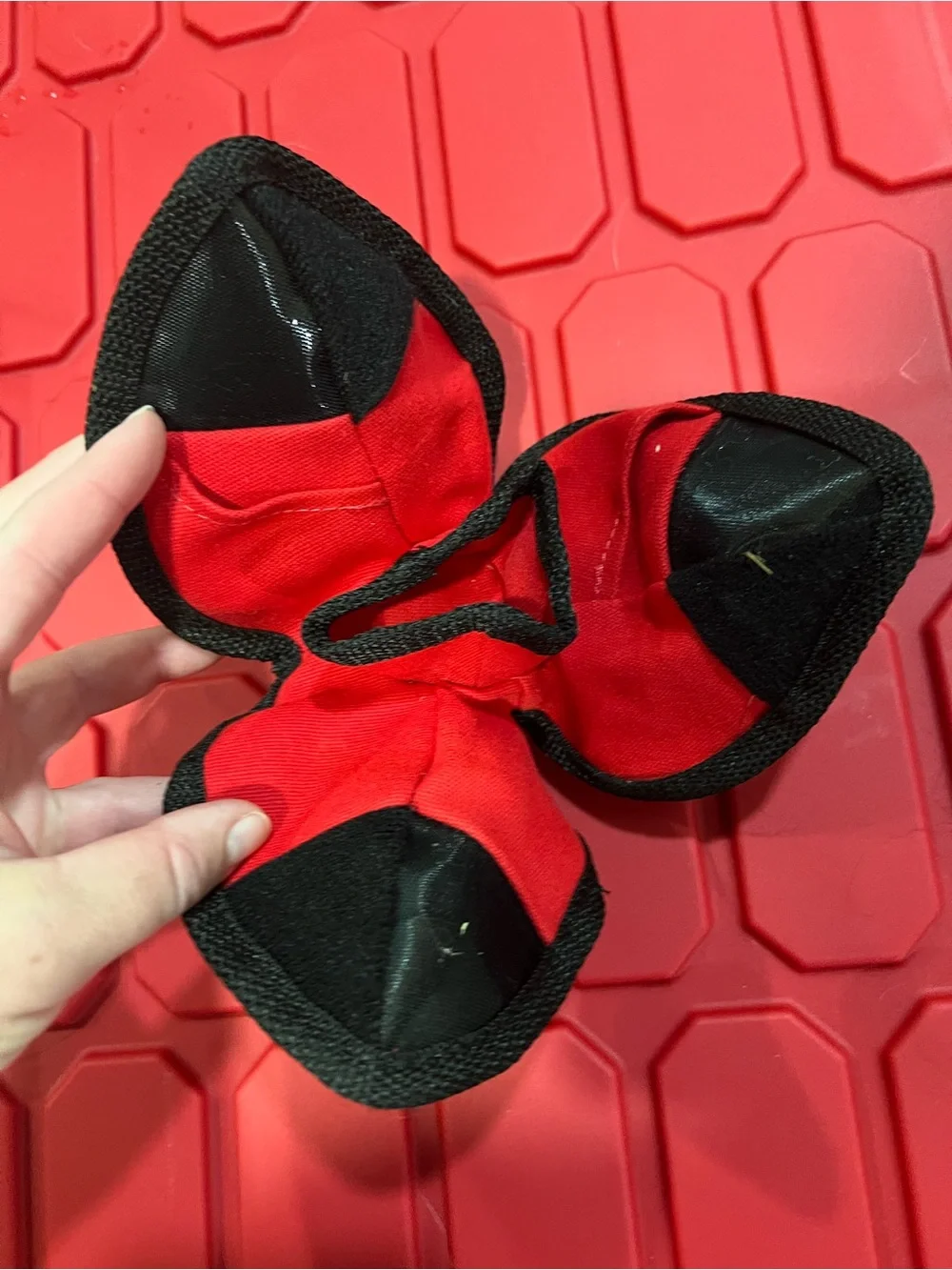 Kong Interactive Dog Toy.